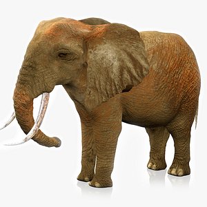 3D African Elephant RIGGED L2369