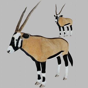 3D Rigged African Oryx antelope model