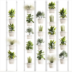 3D Hanging Shelf On Ropes Potted Plants Raphis Palm Ficus 1419
