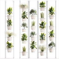 Hanging Shelf On Ropes Potted Plants Raphis Palm Ficus 1419