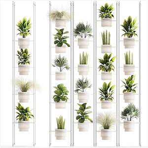 Hanging Shelf On Ropes Potted Plants Raphis Palm Ficus 1419