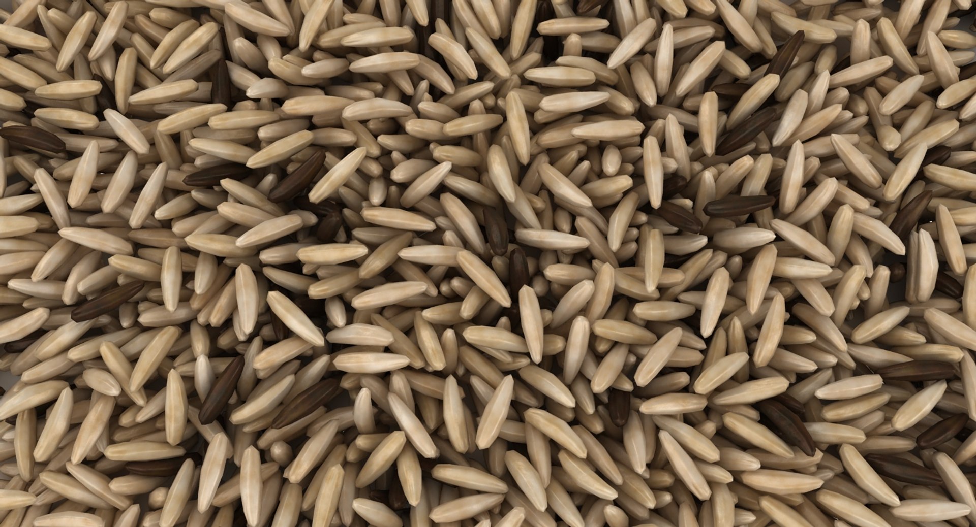 3D Realistic Brown Rice 3 - TurboSquid 1170719