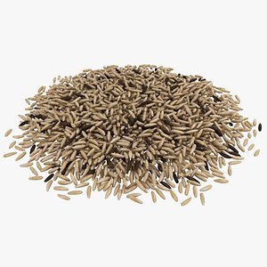 3D realistic brown rice 3