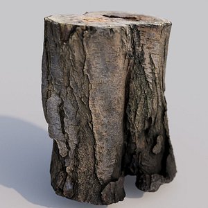 3D Old wooden log model