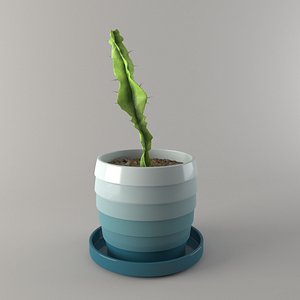cactus vase 3D model