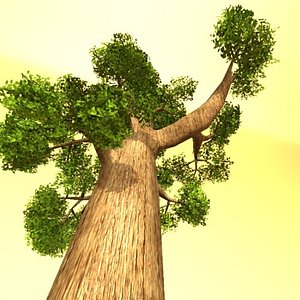 wood canada redwood 3d max