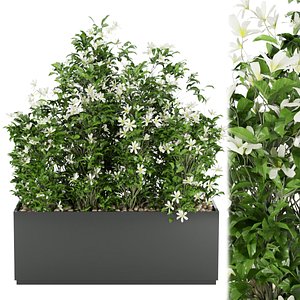 3D Collection plant vol 207 corona 5 model