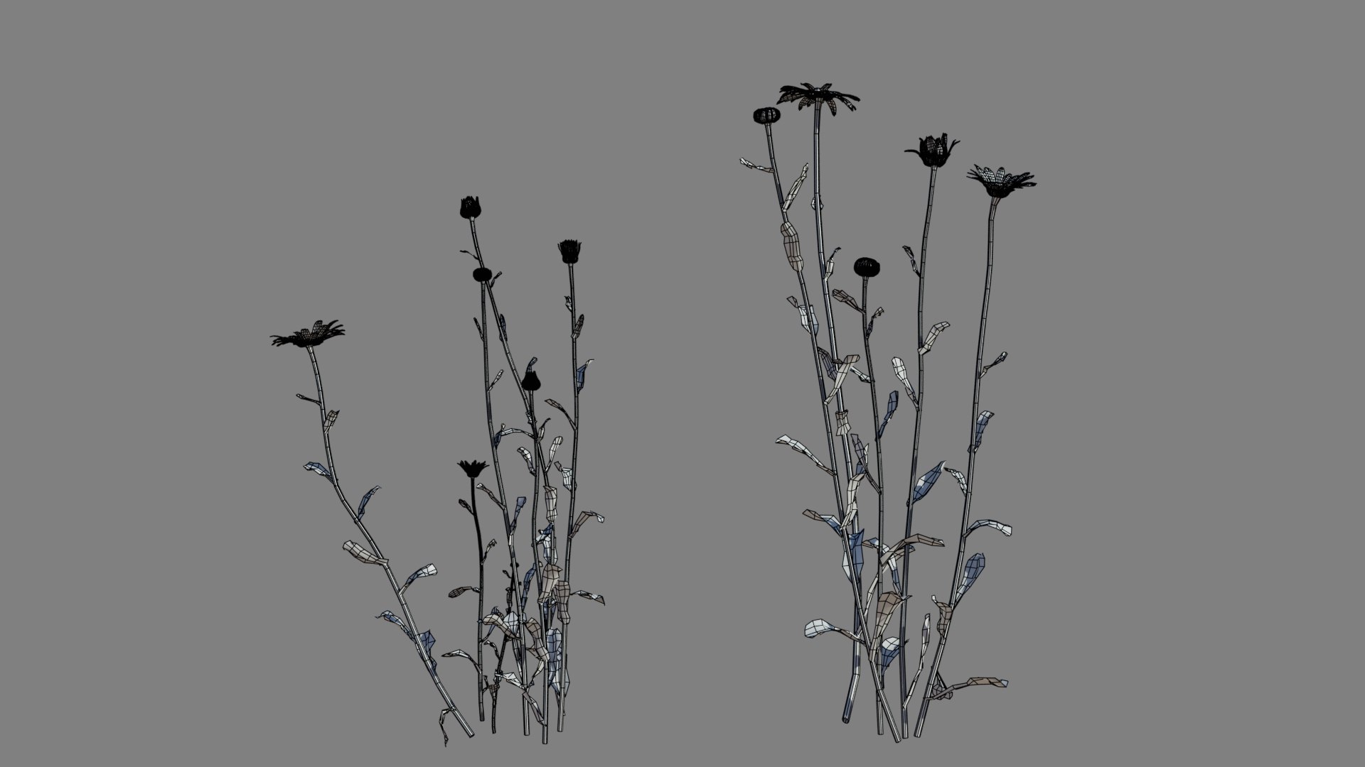 Daisy Model - TurboSquid 1925278