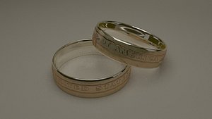 3D dolar ring model