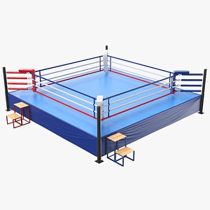Detailed Boxing Ring