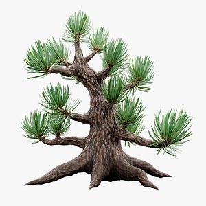 3D Pine Bonsai Stylized model