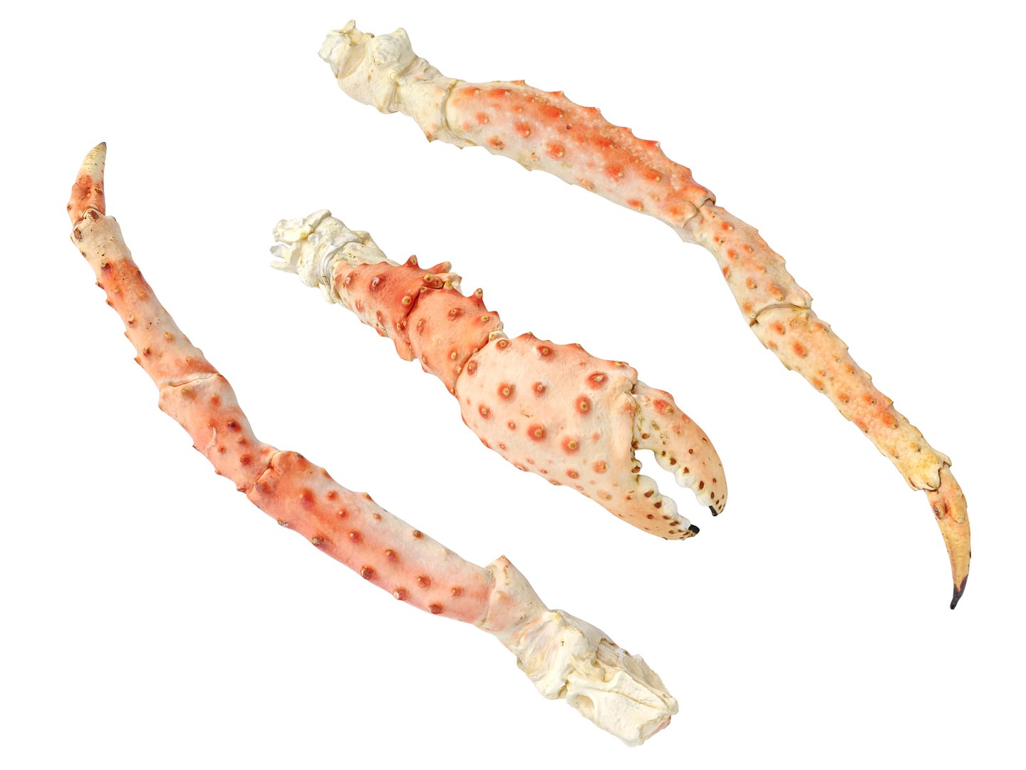 3D Crab Legs and Claws King crab TurboSquid 2092847