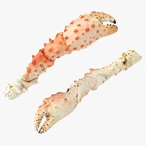 3D Crab Legs and Claws King  crab