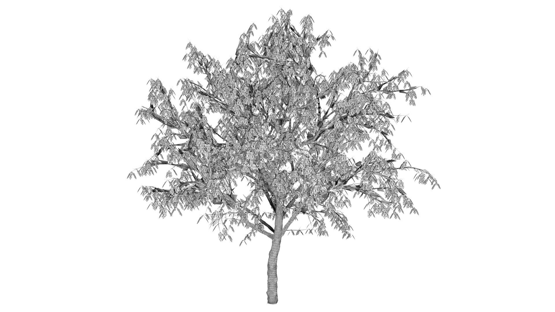 Apricot Autumn Hight 3D Model - TurboSquid 1619450