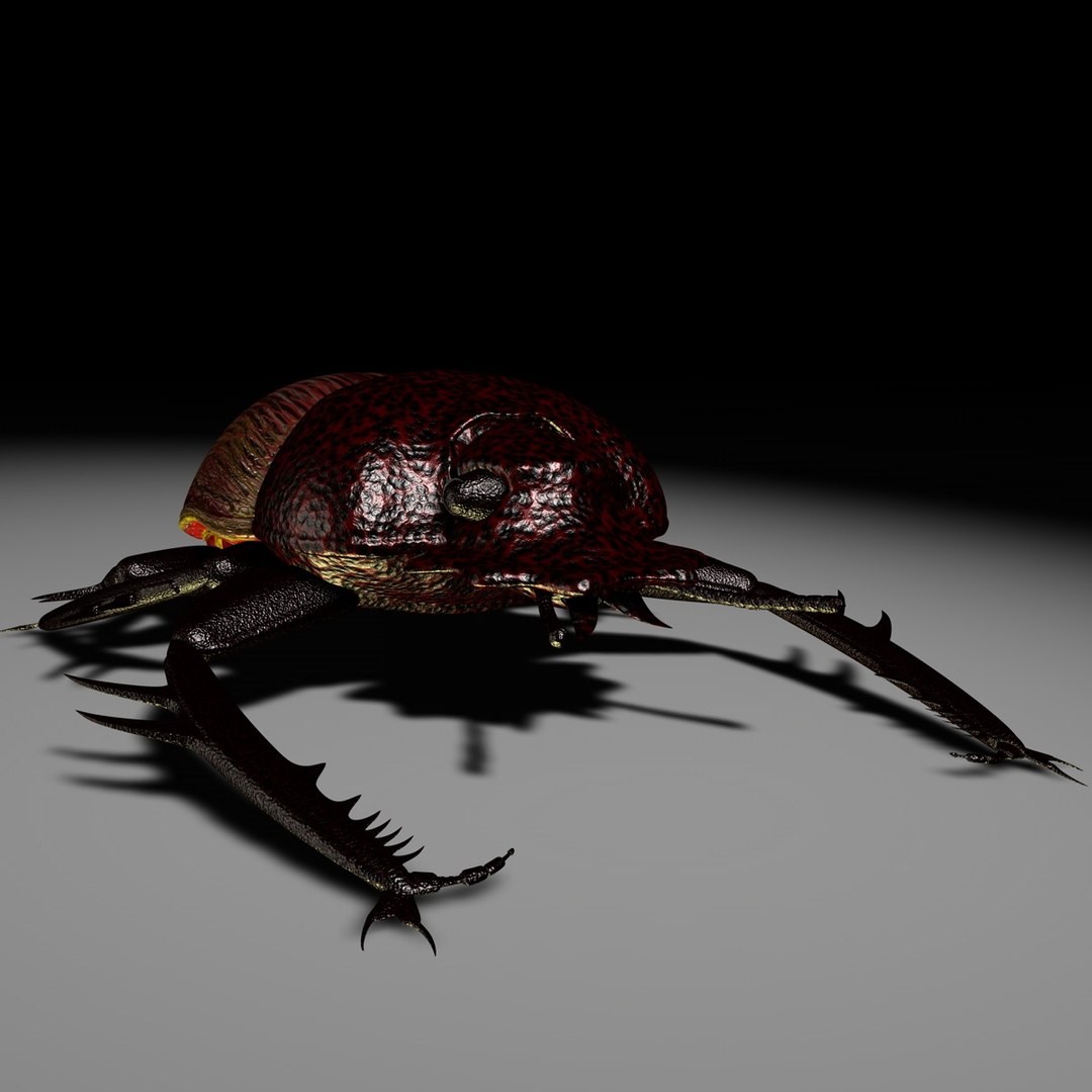 c4d scarabaeus included https://p.turbosquid.com/ts-thumb/ok/o3QiJT/5p4ZreCX/scarabaeusgfcm01c/jpg/1317379317/1920x1080/fit_q87/3b1b80e04a12ebe0e9feda5f6204b06098ff591d/scarabaeusgfcm01c.jpg