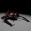 Scarab