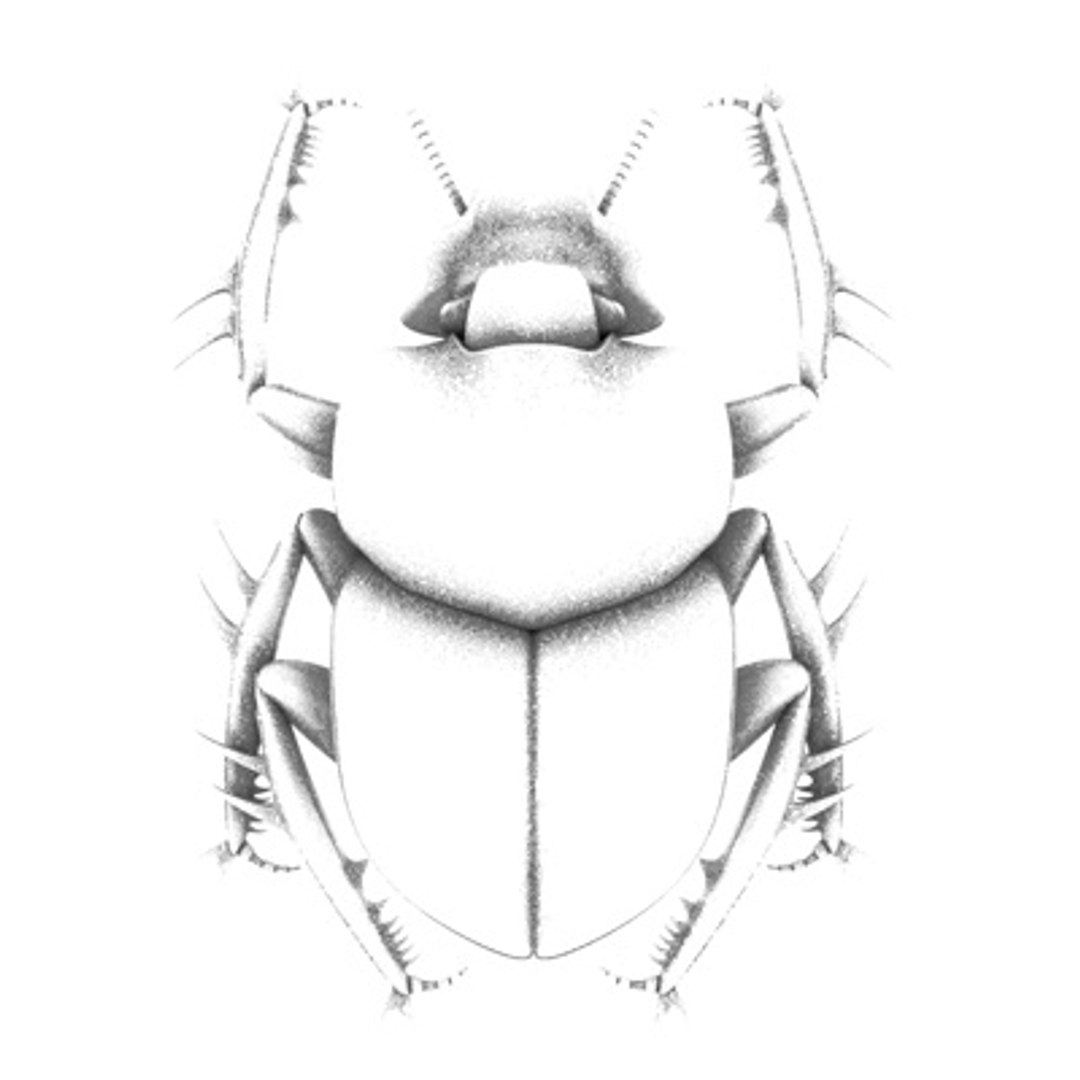 c4d scarabaeus included https://p.turbosquid.com/ts-thumb/ok/o3QiJT/6vuxqAKw/scarabaeusthumb03a/jpg/1177063857/1920x1080/fit_q87/8d868c1ad45597e4e5517be2b1dce2d18c174bfe/scarabaeusthumb03a.jpg