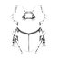 Scarab