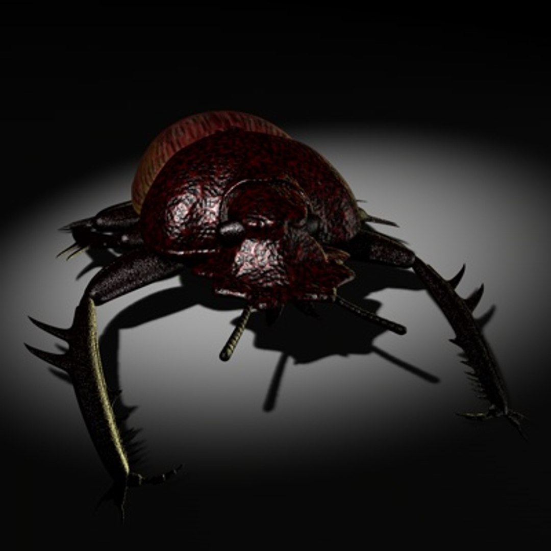 c4d scarabaeus included https://p.turbosquid.com/ts-thumb/ok/o3QiJT/EF56wPR3/scarabaeusthumb01bc/jpg/1177063686/1920x1080/fit_q87/3077595f4cd1f86f5cb3e6e5c54d4ef55a4dff24/scarabaeusthumb01bc.jpg