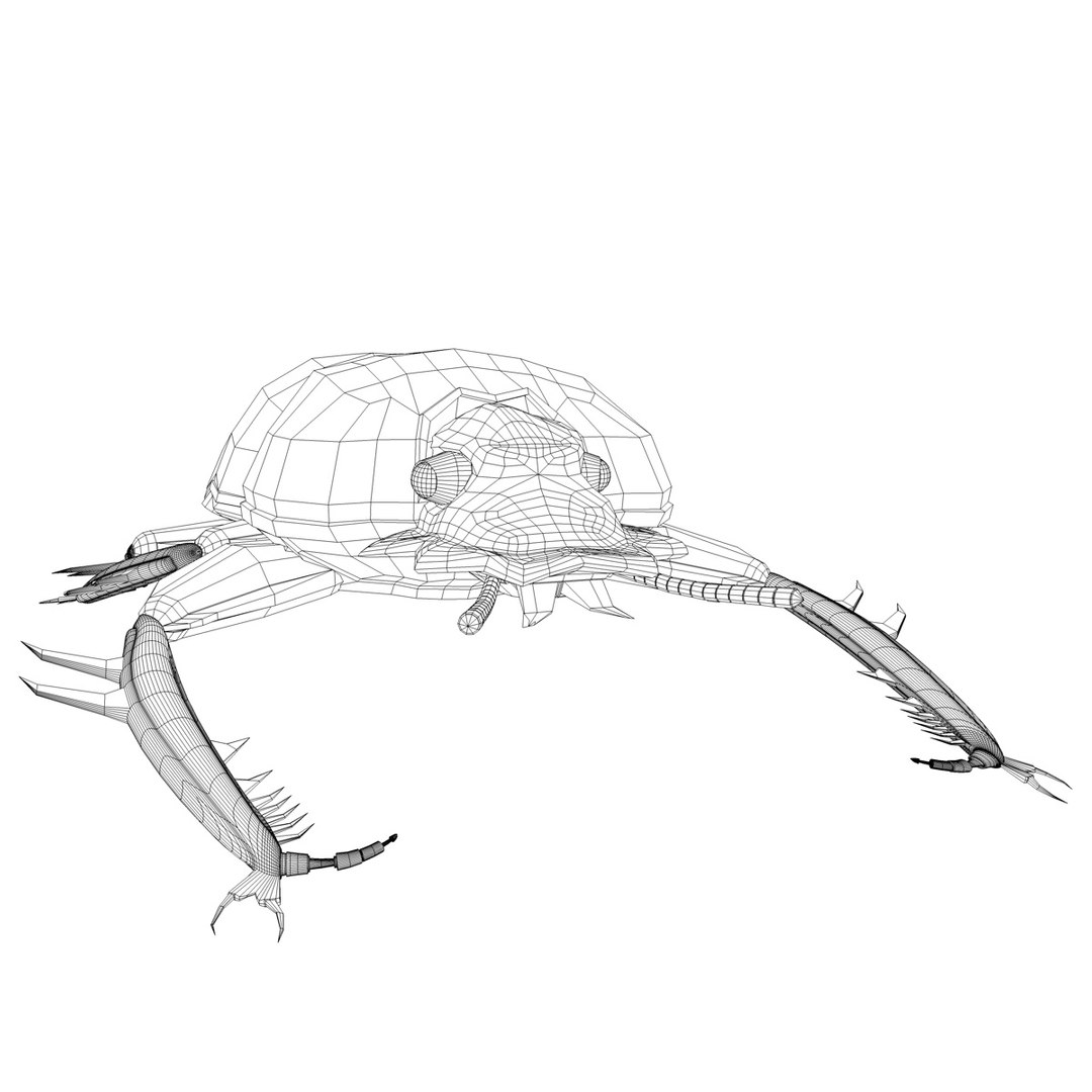 c4d scarabaeus included https://p.turbosquid.com/ts-thumb/ok/o3QiJT/HLRKBgKX/scarabaeusgfcmwire01c/jpg/1317379317/1920x1080/fit_q87/0bf296be4d0aba4ae590fe3c0e6665fa3c2a1bd5/scarabaeusgfcmwire01c.jpg