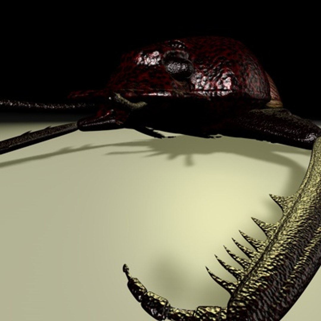 c4d scarabaeus included https://p.turbosquid.com/ts-thumb/ok/o3QiJT/XrxflTII/scarabaeusthumb02a/jpg/1177063762/1920x1080/fit_q87/ea6c94e7eadfaa5b6df632ce5aaadfae3bb724a6/scarabaeusthumb02a.jpg