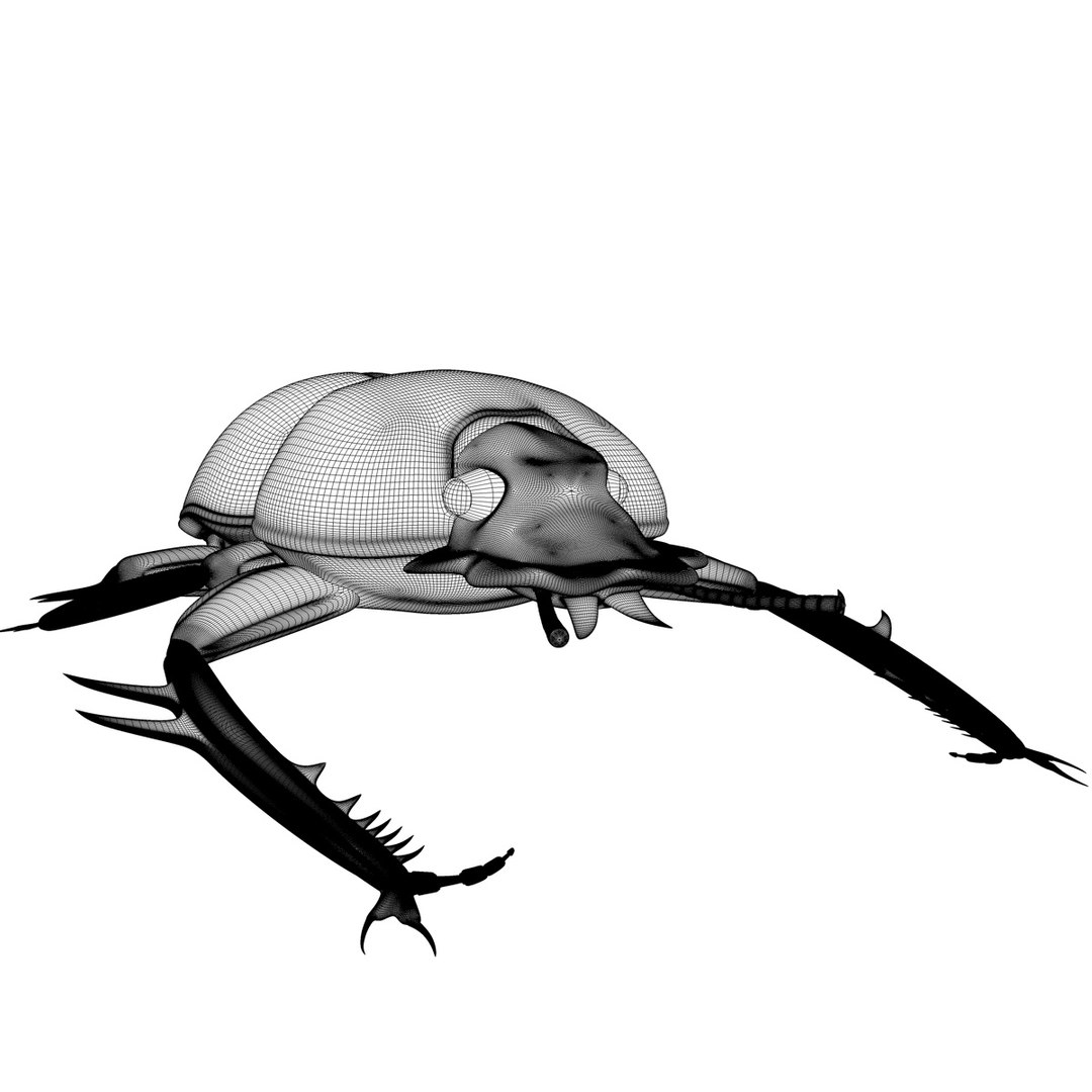 c4d scarabaeus included https://p.turbosquid.com/ts-thumb/ok/o3QiJT/Z8xilb9T/scarabaeusgfcmwire01a/jpg/1317379317/1920x1080/fit_q87/a30b7ac124092923391d55d3f9d73399ed21aa5d/scarabaeusgfcmwire01a.jpg