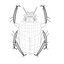 Scarab