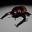 Scarab