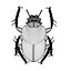 Scarab