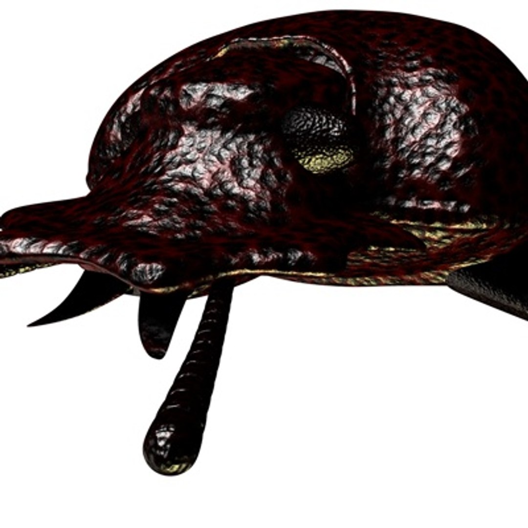 c4d scarabaeus included https://p.turbosquid.com/ts-thumb/ok/o3QiJT/kAcxqgcT/scarabaeusthumb02c/jpg/1177063828/1920x1080/fit_q87/cf18f54d34fee5e0ae3530b61c6a259c199ad689/scarabaeusthumb02c.jpg