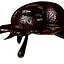 Scarab