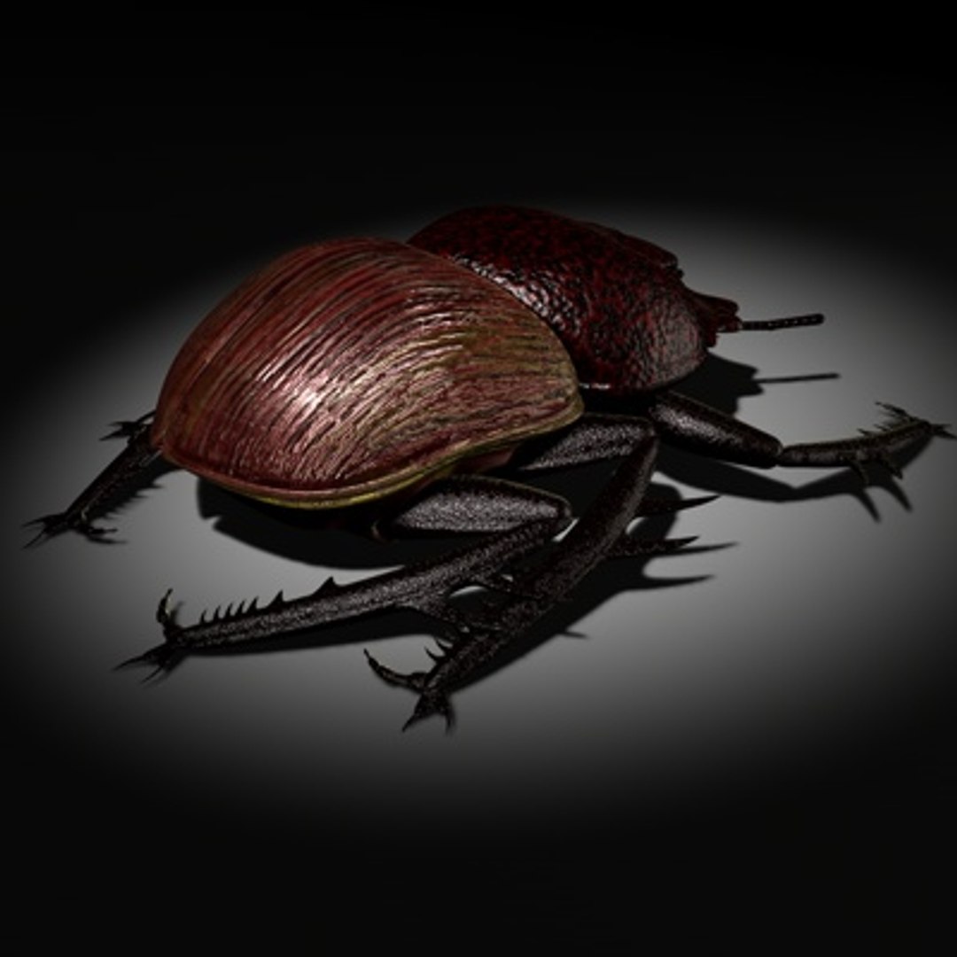 c4d scarabaeus included https://p.turbosquid.com/ts-thumb/ok/o3QiJT/po1f5oA8/scarabaeusthumb01b/jpg/1177063644/1920x1080/fit_q87/ef222cb260b97171839fb648ee66f5b914718fe2/scarabaeusthumb01b.jpg