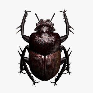 Scarab