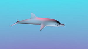 dolphin 3D
