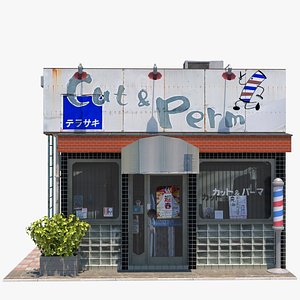 3D Terasaki Hairdresser model