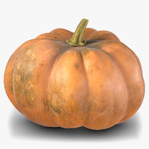 pumpkin 3 3D