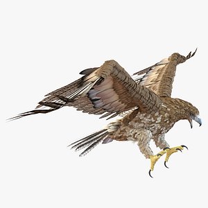 gurney eagle pose 2 3d 3ds