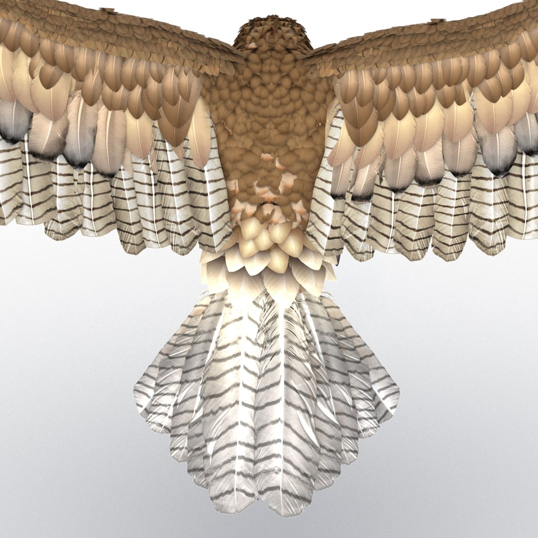 gurney eagle pose 2 3d 3ds
