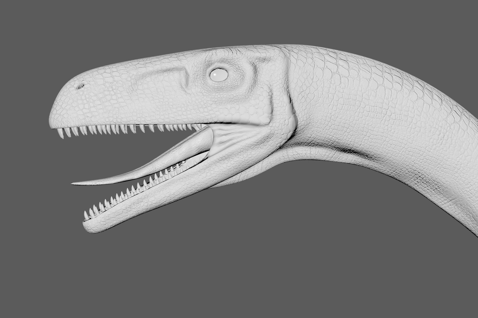 3D Melanorosaurus Dinosaur Triassic Animal https://p.turbosquid.com/ts-thumb/ol/9qLOnW/CD/11/jpg/1735609409/1920x1080/fit_q87/045e86f65ec3cf8b197b29cf29401fda3e5b9999/11.jpg
