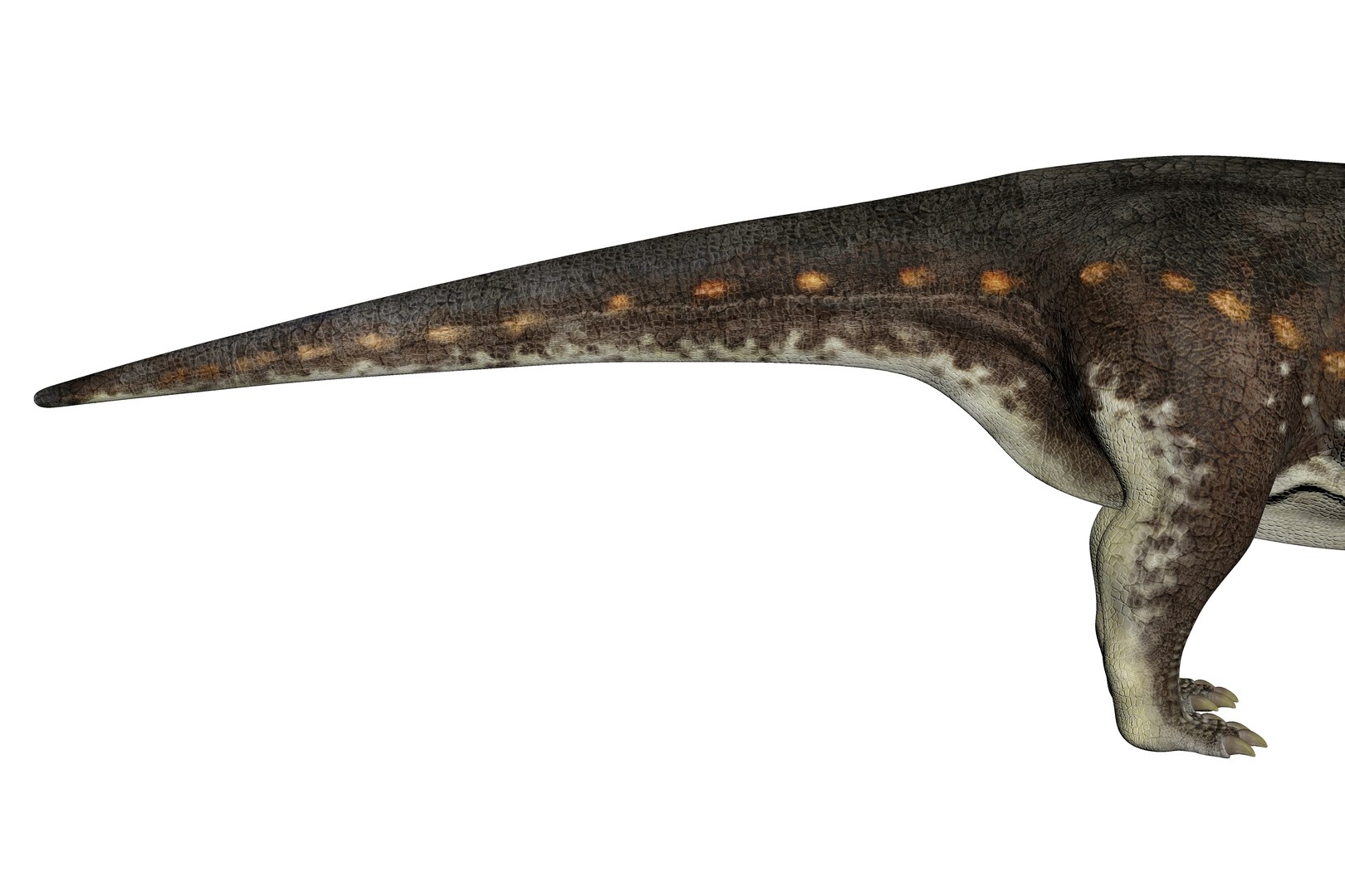 3D Melanorosaurus Dinosaur Triassic Animal https://p.turbosquid.com/ts-thumb/ol/9qLOnW/QA/7/jpg/1735609402/1920x1080/fit_q87/9a39792714d0f645cfd274f8e2add5cd35859953/7.jpg