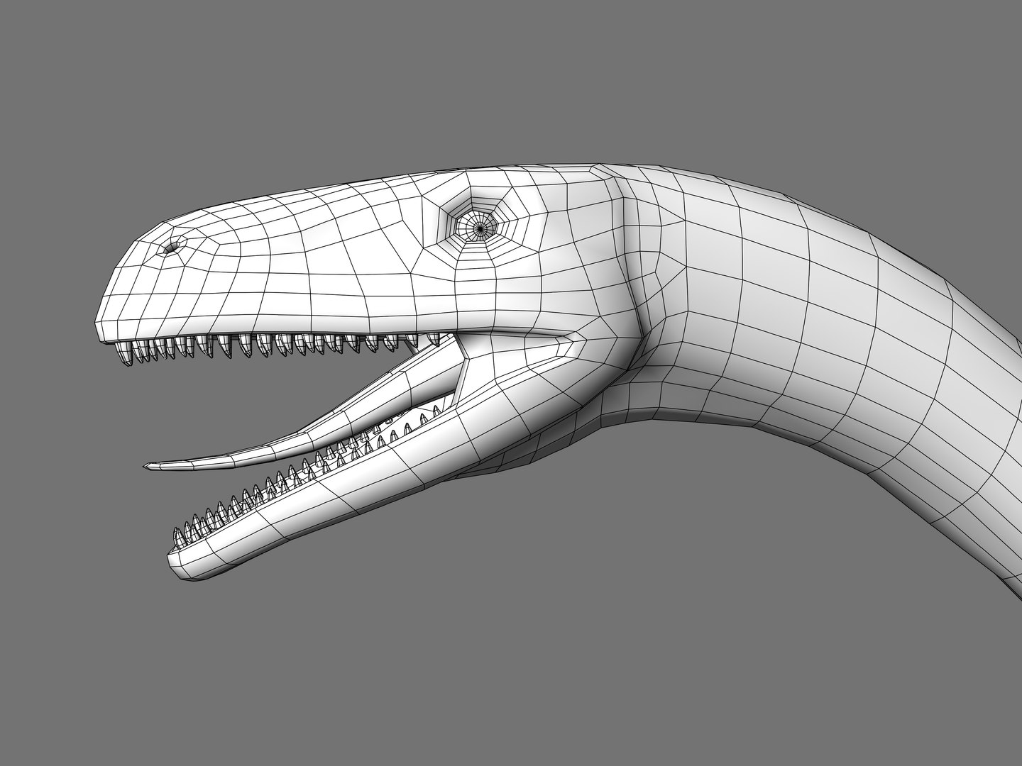3D Melanorosaurus Dinosaur Triassic Animal https://p.turbosquid.com/ts-thumb/ol/9qLOnW/ZN/19/jpg/1735609422/1920x1080/fit_q87/fba9b25694abe91d5694e3e4be450ee917c0652b/19.jpg