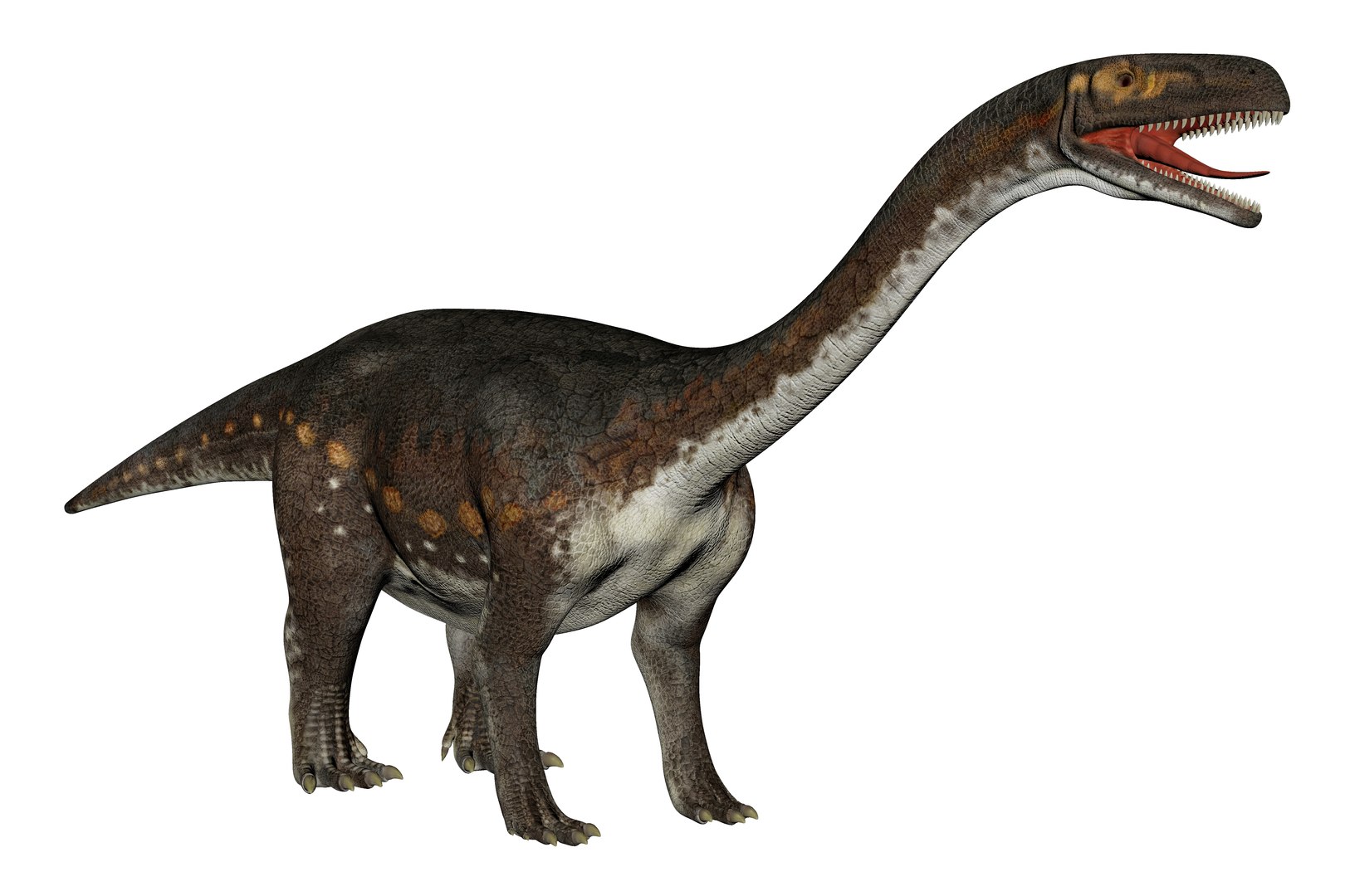 3D Melanorosaurus Dinosaur Triassic Animal https://p.turbosquid.com/ts-thumb/ol/9qLOnW/eF/8/jpg/1735609406/1920x1080/fit_q87/fdd269bb3c149e303ae72c0d33ee47440e7687a0/8.jpg