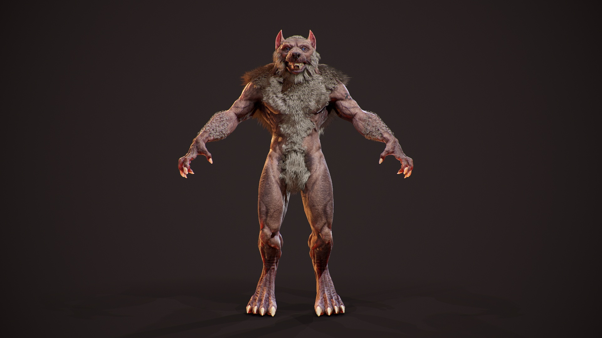 realistic werewolf model https://p.turbosquid.com/ts-thumb/ol/9qPtk4/LRTc2HFR/ww/jpg/1598608341/1920x1080/turn_fit_q99/ab0d822ce3b3fdaf4a5686952a9a43b7e4bd8fe6/ww-1.jpg