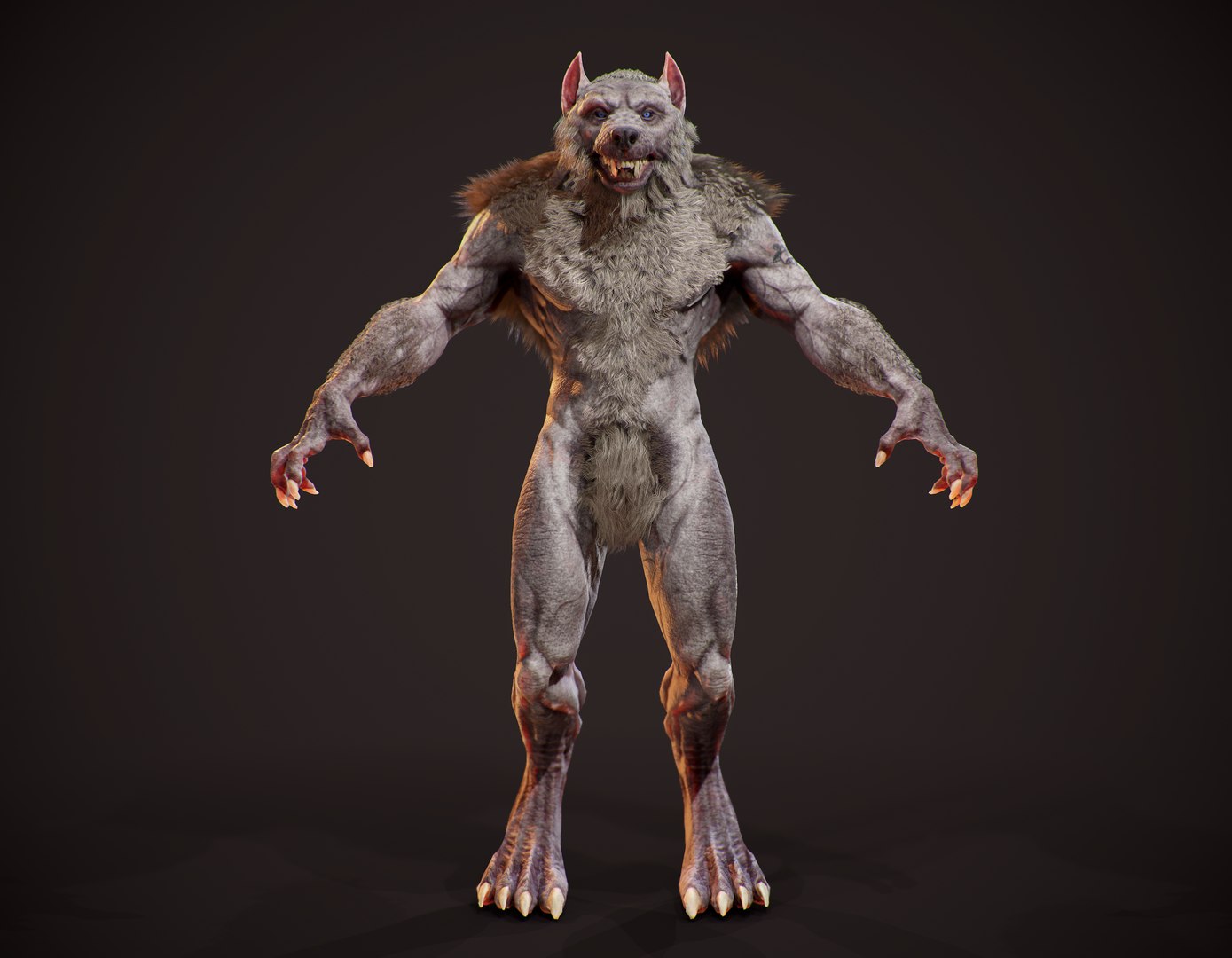realistic werewolf model https://p.turbosquid.com/ts-thumb/ol/9qPtk4/gwzZpJlE/screenshot001/png/1598608533/1920x1080/fit_q87/8d4df1baa7c22d3e00adfef05a101586805d7ef6/screenshot001.jpg