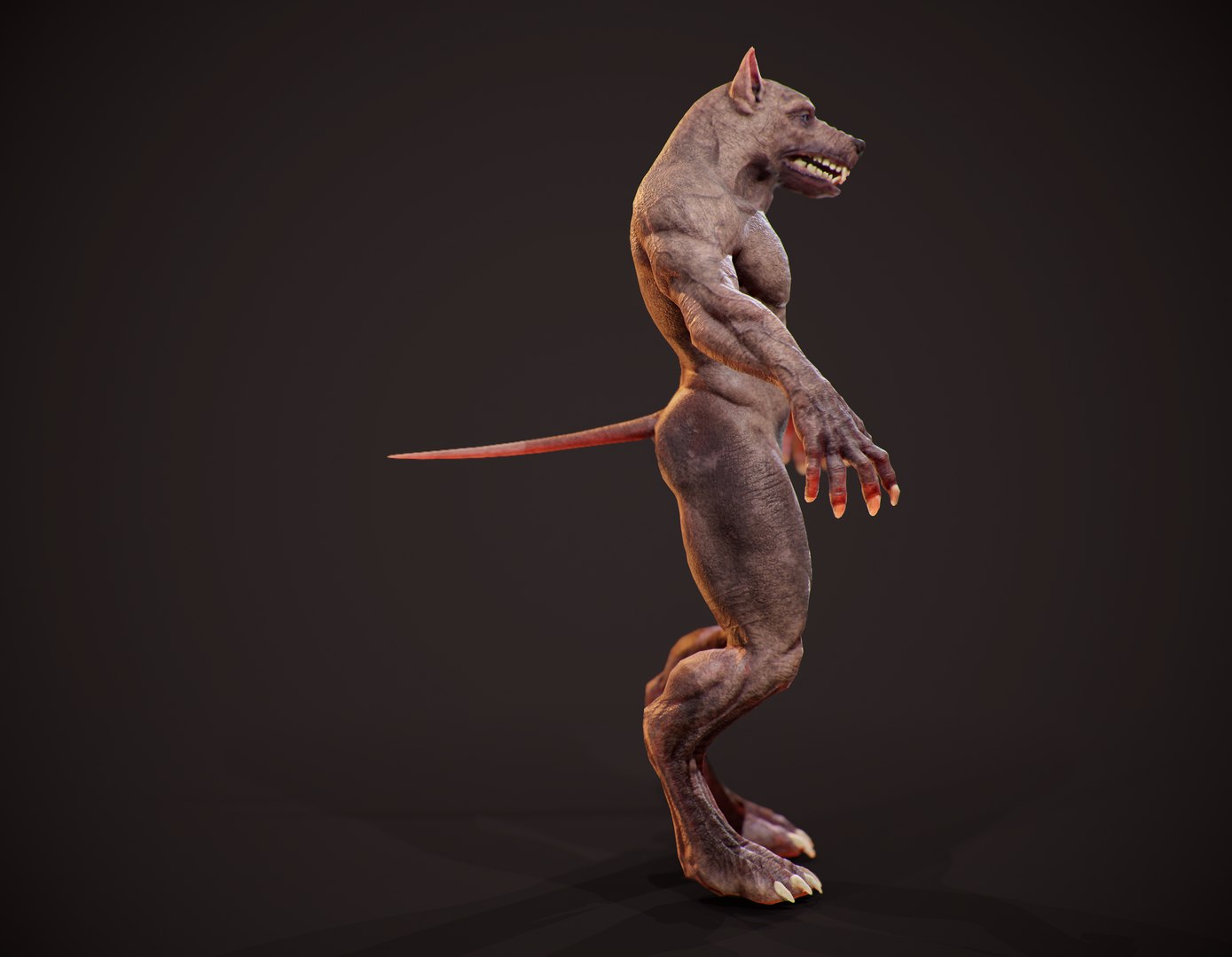 realistic werewolf model https://p.turbosquid.com/ts-thumb/ol/9qPtk4/s823baPW/screenshot010/png/1598608599/1920x1080/fit_q87/51fafdfccc3effbd6ec52485e983d8b8dd7d746f/screenshot010.jpg