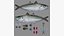 Mackerel Scad