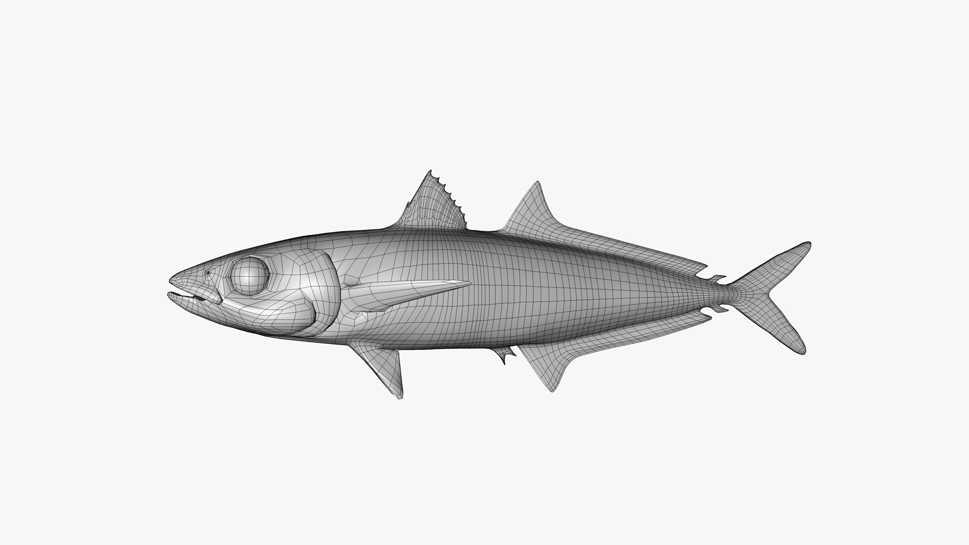 3D Mackerel Scad model https://p.turbosquid.com/ts-thumb/ol/CmgYGK/eG/0000/png/1738001009/1920x1080/turn_fit_q99/76c5092c2dbffaf04455944d7b7a2ddd5abdd958/0000-1.jpg