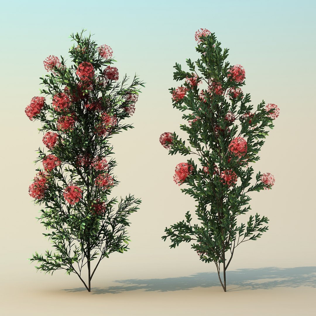 3d 2 Tree Scatter Model