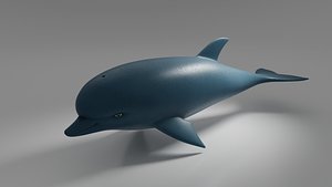 Dolphin model