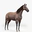 Horse  (RIGGED) (FUR)